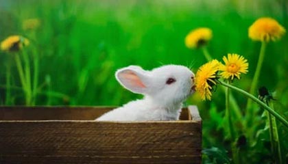 LEYU SPORTS中国官方网站-世界田径大赛中国队再获佳绩，世界田径大赛中国队再获佳绩是什么