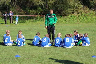 LEYU SPORTS中国官方网站-德甲球队构建战术模拟平台提升临场应变能力，德甲模式