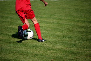 乐鱼（中国）体育官方网站-篮球运动员心理韧性提升及干预体系建设，篮球运动员的心理训练