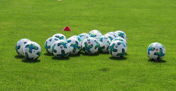 弗莱堡欲搅局，多特需提防冷平，佛莱堡vs多特蒙德